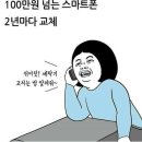 백퍼다 이미지