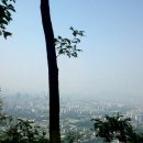 구룡산정상 조망대 이미지