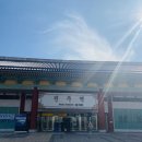 [남해] 남해 가볼만한 곳 렌트카 타고 남해 여행 다랭이마을, 중앙시장에서 회 포장하기