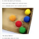 가베놀이 (B) 이미지