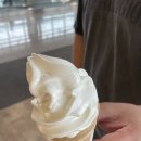 지아몰2