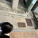 초연약국 이미지