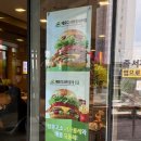 베토디 과카몰레 : 맥도날드 신메뉴 싱글버거 맥런치 후기 (맛, 가격, 영양정보)