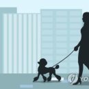 법률사무소서화담