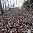 박세영선생묘 및 신도비 이미지