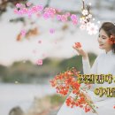 정의송 - 못잊을사랑 이미지