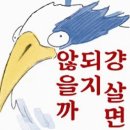 일상 또 일상