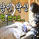 권헤어라인 이미지