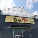 봄을 담은 딸기