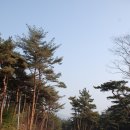 화동초등학교 앞 이미지