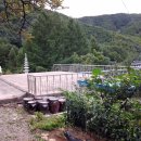 한솔1 태양광발전소 이미지