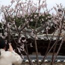 [이숙인의 조선가족실록] (4) ““이념보다 인정” 칠남매 바라지에 속울음 터뜨린 율곡” [“우리가...
