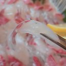 인생횟집 이미지