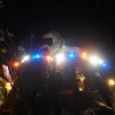 하나 숲 관광농원 이미지