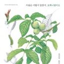 보태니컬 아트(기초) 이미지