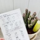 정만농장 네이버블로그