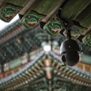 (주)테마여행사 이미지