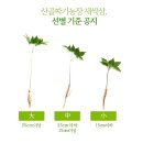 산골짜기농장 이미지