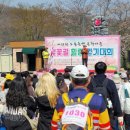 문화마을길(와룡면) | 제18회 도동측백문화마을 '벚꽃길 힐링걷기대회' 후기 🌸