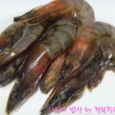 파이시스 이미지