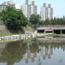 퇴계천길 이미지