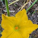 맷돌농장 이미지