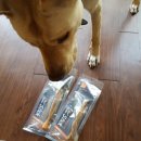 심바는 크리스마스 이미지