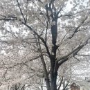 불당천 이미지