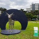 풍납토성경당역사공원 이미지