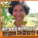 61살아내 33살남편 죽은남편이 환생하여 다시 가정을 꾸몄다 이미지