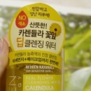 네오젠 케네디언 클레이 포어 클렌져 후기.캐나다 빙하토 모공팩 클렌져