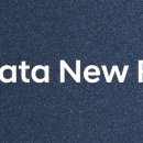 네임펫(Name Pet) 이미지