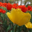 생태공원안내소 이미지