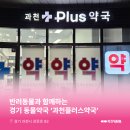 과천 플러스 약국 이미지