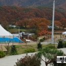 구룡산 오토캠핑장 이미지
