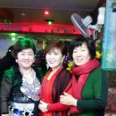 콘서트라이브7080 이미지