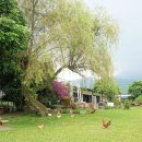 영웅농장 이미지