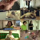 신애농장 이미지