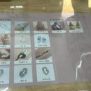 (9/23) 커스텀주얼리 만들기(써지컬체인세트) | 인천 미추홀구 커플링 반지공방 추천&lt;다이나믹크롬 주얼리공방&gt;