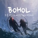 세지5일시장 | [보홀 3박 5일] 4~5일차(1)-보홀 나팔링투어, 패키지 쇼핑 후기/ 보홀 한식 맛집 추천