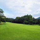 현충원로(유성-19) 네이버블로그