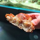 일중로L 이미지