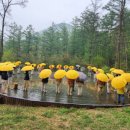 깊은산속 옹달샘 이미지