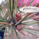 겨울나기 생태수업 이미지