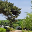 피자스쿨(신원마을점) | 원당종마목장: 푸른 초원에서 한가로운 피크닉🐎🌿