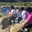 정감이마을 이미지