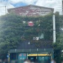 만호호성식당 이미지