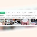 건강한펫 티스토리
