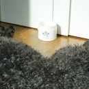 단아한펫 | 강아지소변냄새 관리에 모노아워 펫프렌들리 고체탈취제 사용 후기