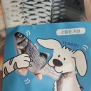 주식회사파닥파닥